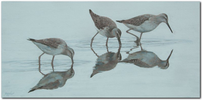 Sandpipers - acrylic pating