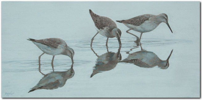 Sandpipers © by Jim Eppler, acrylic painting Sandpipers - acrylic pating